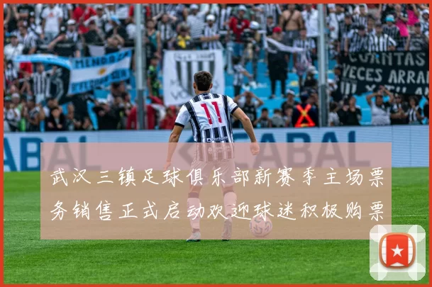 武汉三镇足球俱乐部新赛季主场票务销售正式启动欢迎球迷积极购票支持球队