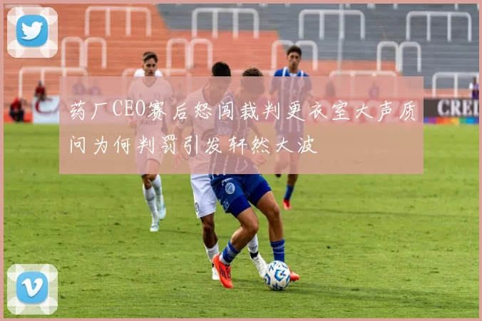 药厂CEO赛后怒闯裁判更衣室大声质问为何判罚引发轩然大波