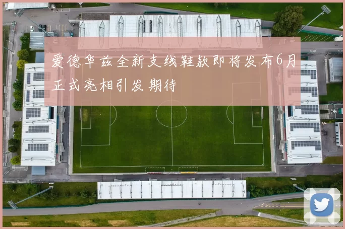 爱德华兹全新支线鞋款即将发布6月正式亮相引发期待