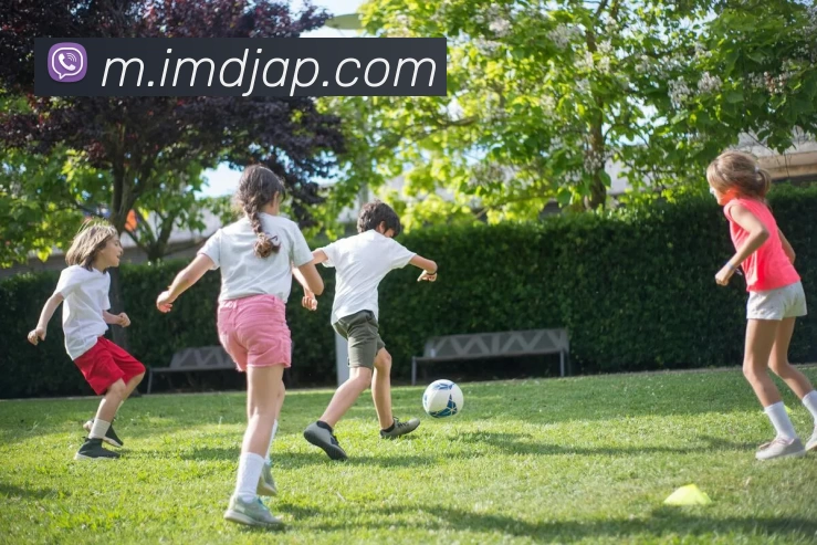 IM电竞App平台生态图