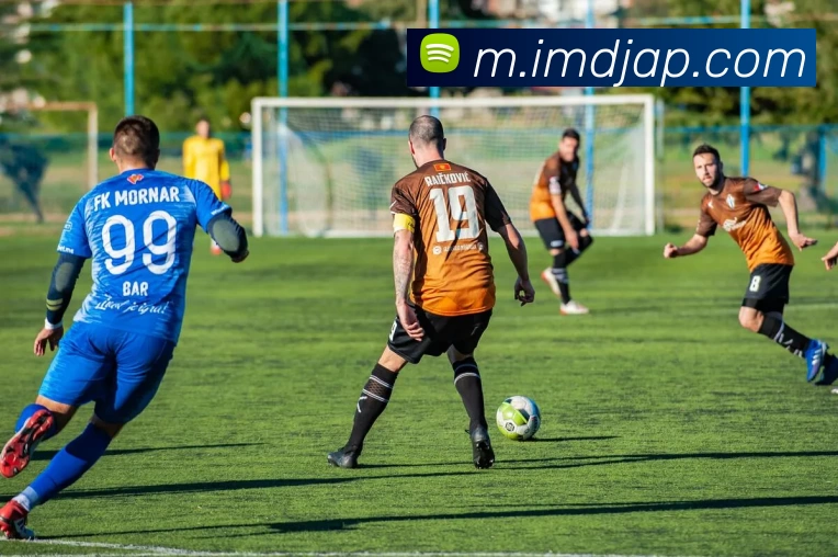 IM电竞AppAPP 封面图